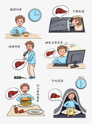 保护肝脏健康饮食免抠
