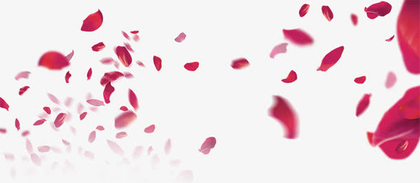 手绘梦幻漂浮玫瑰花瓣免抠