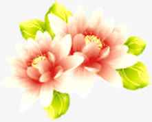 中国风春季牡丹花免抠