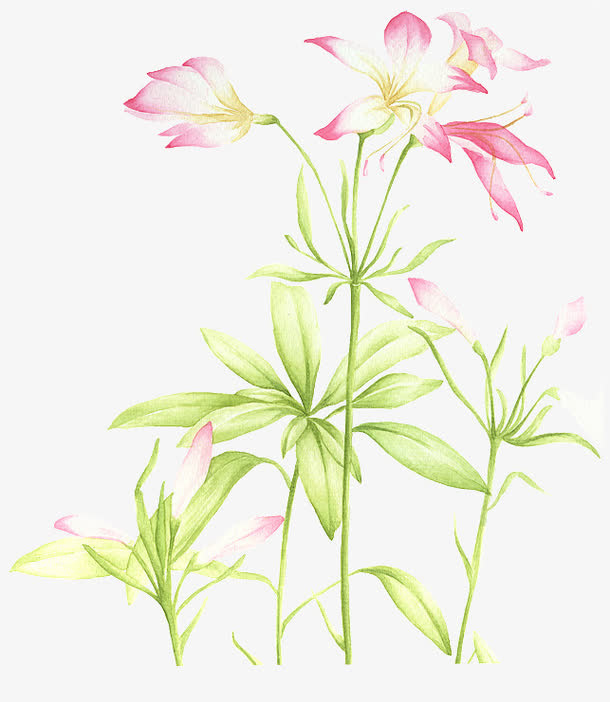 卡通绿叶粉花装饰素材免抠
