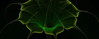 绿色抽象植物背景高清