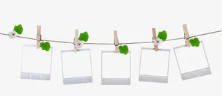 唯美绳索相框边框免抠