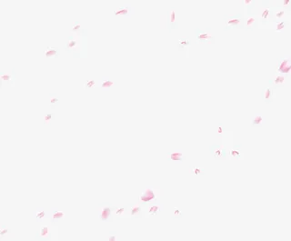 飘落粉色花瓣七夕情人节海报背景