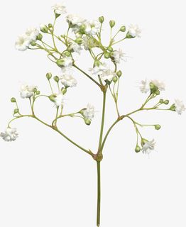 花草线描花草画免抠