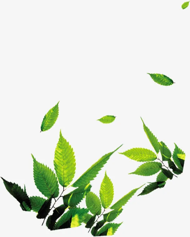 春天绿叶漂浮装饰免抠