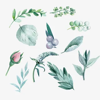 春天手绘墨绿色植物装饰免抠