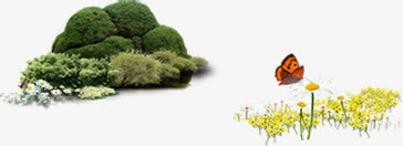 黄色小花蝴蝶草地免抠