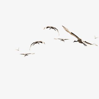 大雁水墨山水茶文化免抠