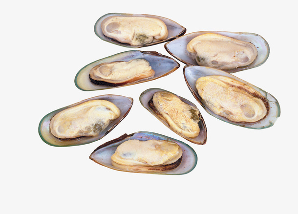 海鲜贝壳蛏子免抠