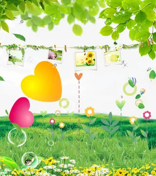 草地悬挂照片免抠