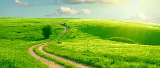 草原郊外美景夏天免抠