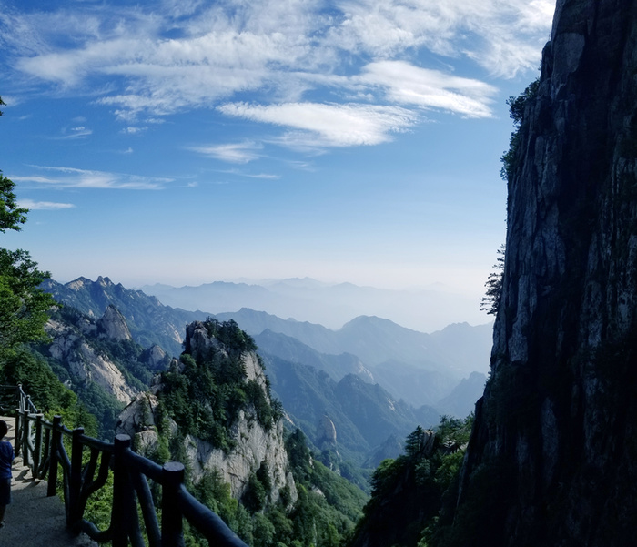 春天 爬山蓝天绿树 松树高清