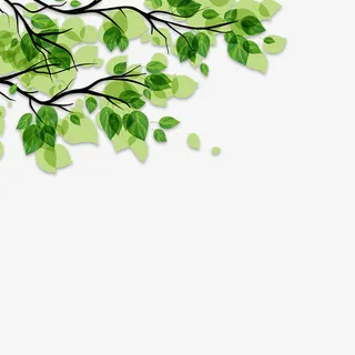 树枝绿叶春天树叶免抠动植物植物元素