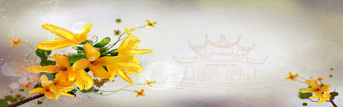 花瓣背景图高清
