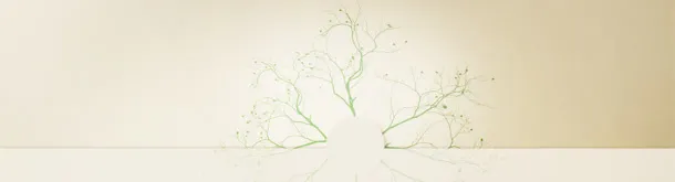 创意背景
