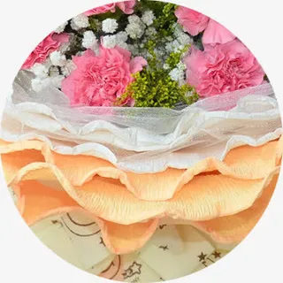 红色的温暖的康乃馨花朵设计免抠