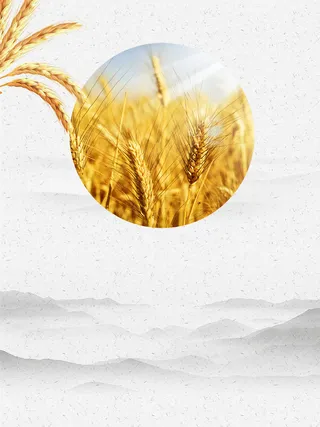 简约二十四节气芒种海报背景高清