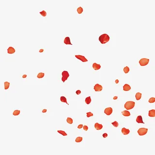 漂浮的玫瑰免抠