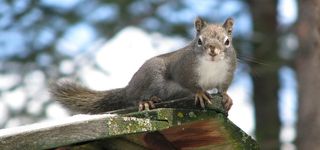 淘宝背景图高清
