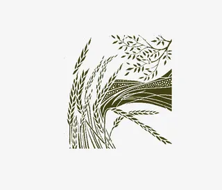 飘逸的麦穗柳树和田地免抠