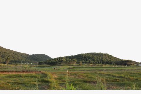 绿色的小山坡免抠