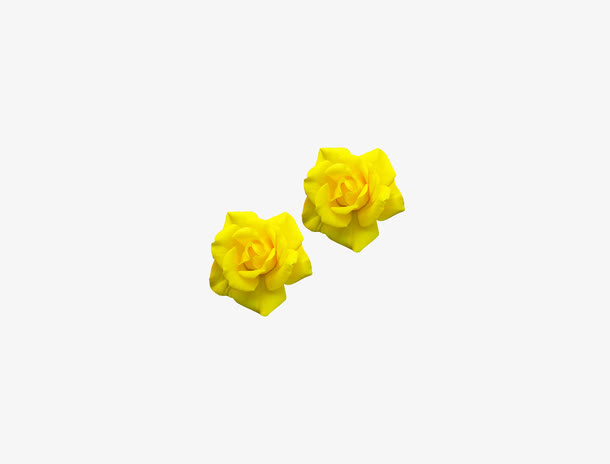 花瓣，花免抠