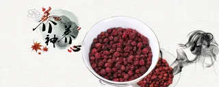 中国风养生中药五味子背景高清