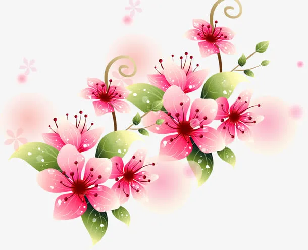 粉色唯美淡雅母亲节花朵免抠