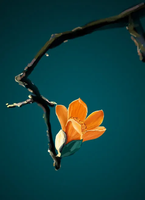 图片素材花朵树枝免抠