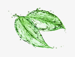 水花绿叶元素免抠