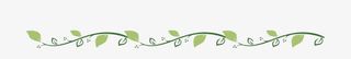 唯美创意小草花纹分割线免抠