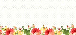 淘宝 清新女装 海报banner背景高清