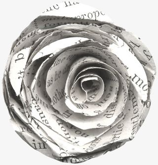 花卉图案素材手绘花朵免抠