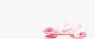 粉色的花瓣免抠