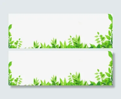 春天 春光 绿叶 绿树 树枝免抠