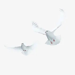 毛主席诞辰纪念海欧免扣图免抠 毛主席诞辰纪念海欧免扣图免抠