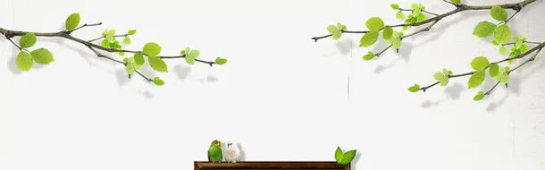 树枝免抠