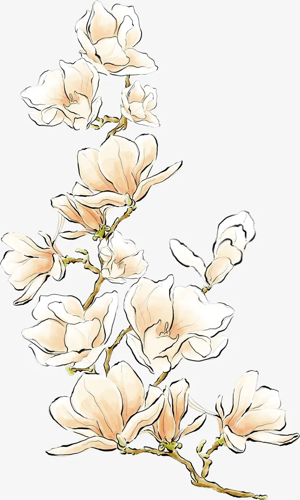 唯美的花朵免抠