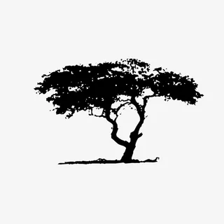 大树剪影手绘简图免抠