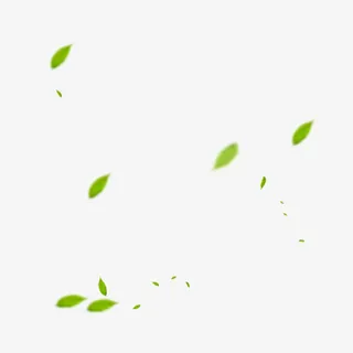 漂浮绿叶免抠
