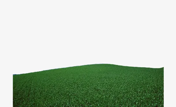 绿色小草免抠