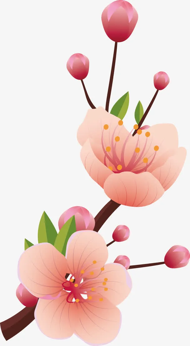 美丽的花PNG下载免抠