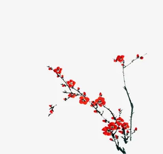中国风-梅花免抠