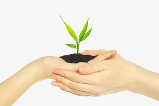 PNG手掌守护禾苗免抠