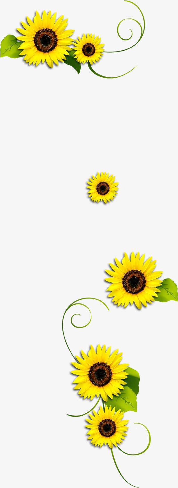 清新黄色花朵边框装饰免抠