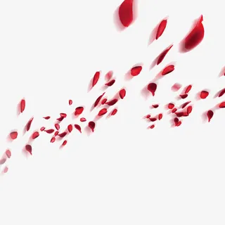 中秋节海报折页设计素材 花瓣免抠