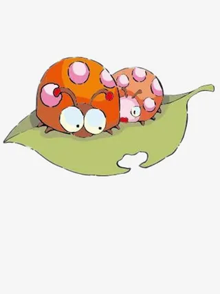 树叶上的瓢虫免抠