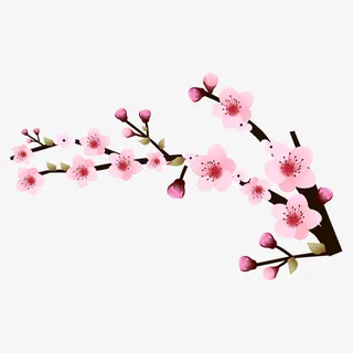 花朵 花瓣 花免抠