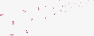 漂浮花瓣免抠