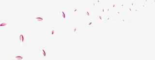 漂浮花瓣免抠